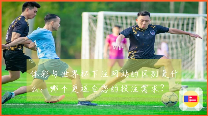 体彩与世界杯下注网站的区别是什么，哪个更适合您的投注需求？