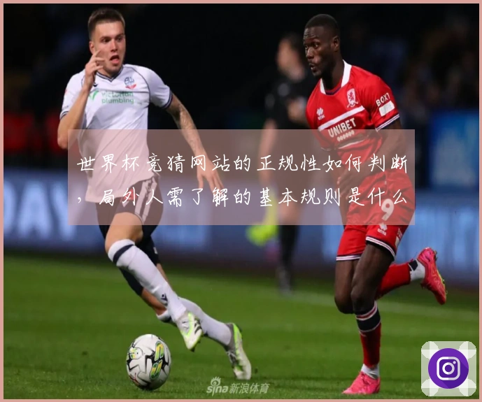 世界杯竞猜网站的正规性如何判断，局外人需了解的基本规则是什么