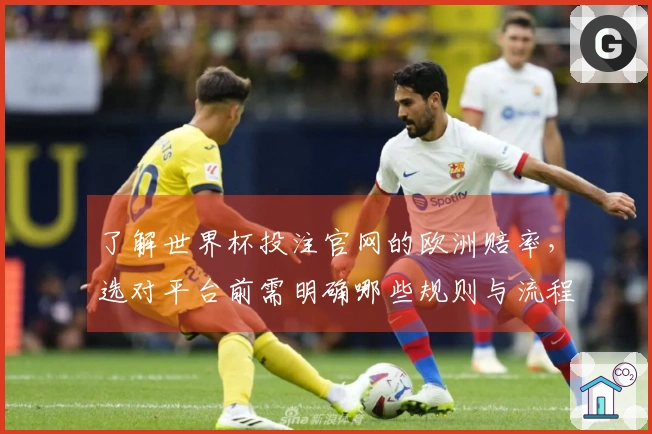 了解世界杯投注官网的欧洲赔率，选对平台前需明确哪些规则与流程