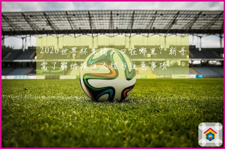 2026世界杯竞猜入口在哪里？新手需了解的投注流程与注意事项