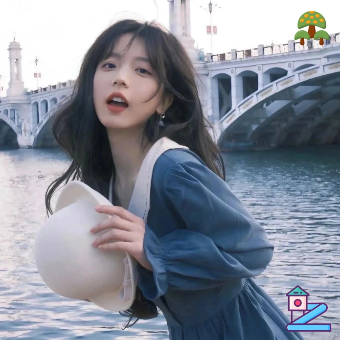 高磊先生